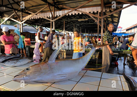 Tonno al mercato del pesce in Kota Biak, isola di Biak, Irian Jaya, Indonesia, Asia sud-orientale, Asia Foto Stock