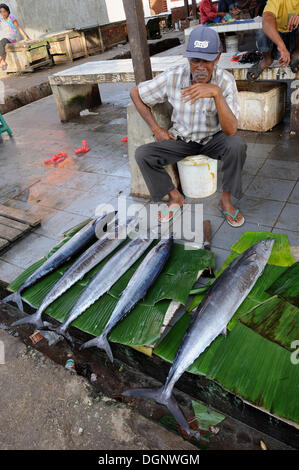 Un pesce di Papua venditore al mercato del pesce in Kota Biak, isola di Biak, Irian Jaya, Indonesia, Asia sud-orientale, Asia Foto Stock