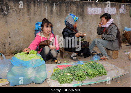 I venditori di verdure sul mercato in Phonsavan, Laos, Asia sud-orientale, Asia Foto Stock