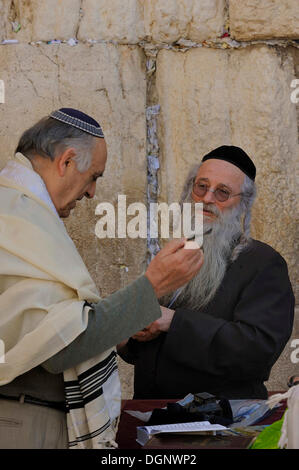 Gli ebrei ortodossi direttamente di fronte al Muro del Pianto o Muro Occidentale con tallit, kippa, peyes e lato di ricci, schede di preghiera sono Foto Stock