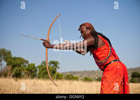 Guerriero masai indossando vestiti tradizionali mentre facendo il tiro con l'arco con arco e frecce, Massai Mara, Distrikt Narok, Serengeti Foto Stock