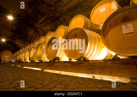 Botti da vino, provincia di Bolzano, Italia, Europa Foto Stock