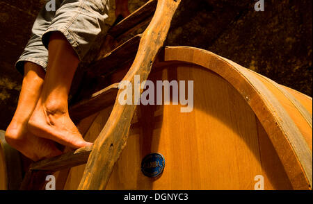 Botte di vino Foto Stock