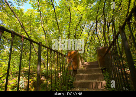 Bridge, trail, Friedensweg o il percorso verso la pace, Alto Adige, Italia, Europa Foto Stock