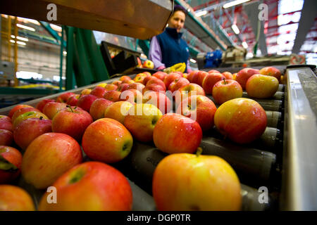 Trasformazione delle mele Foto Stock