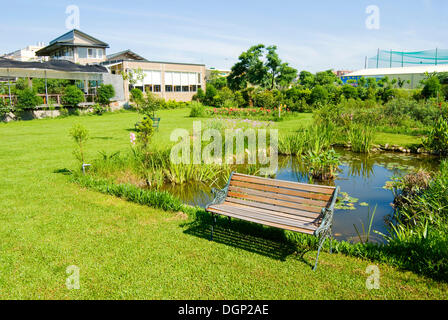 Giardino con panca, la piscina e il verde vivace prateria Foto Stock