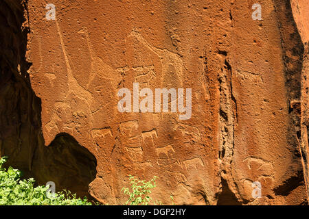 Incisioni rupestri, Twyfelfontain, Damaraland, Namibia, Africa Foto Stock