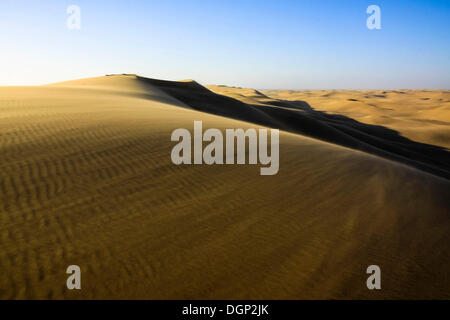 Dune tra Swakopmund e Walvis Bay, Namibia, Africa Foto Stock