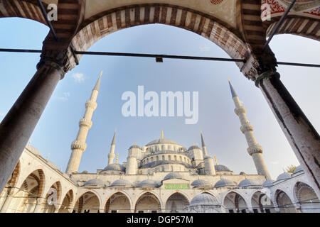 Cortile interno e minareti della Moschea Blu, Sultan Ahmet moschea, Istanbul, Turchia Foto Stock