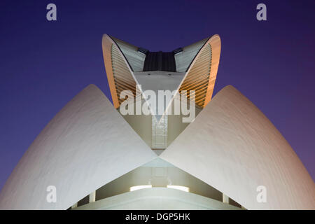 Opera house Palacio de las Artes Reina Sofia, La Ciudad de las Artes y las Ciencias, Città delle Arti e delle Scienze di Valencia Foto Stock