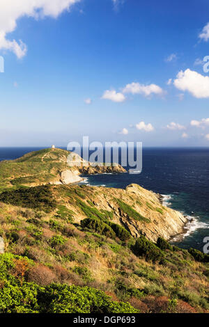 Torre Saracena sul Capo Malfatone sulla costa del Sud, Sulcis Provincia, Sardegna, Italia, Europa Foto Stock