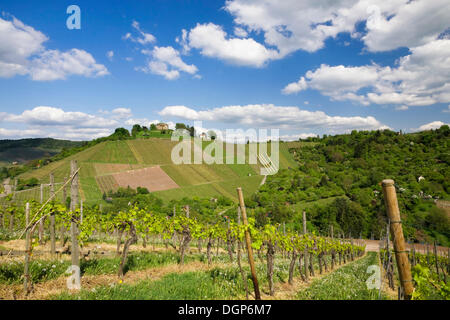 Mausoleo del Württemberg nei vigneti vicino a Stuttgart Rotenberg, Baden-Wuerttemberg Foto Stock