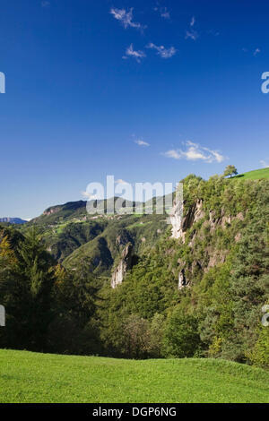 Alberi su un promontorio roccioso, Dolomiti, Trentino Alto Adige, Italia, Europa Foto Stock