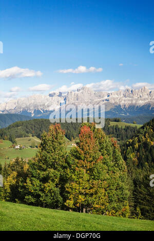 Vista della Val d'Ega al Rosengarten Catinaccio, Dolomiti, Trentino Alto Adige, Italia, Europa Foto Stock