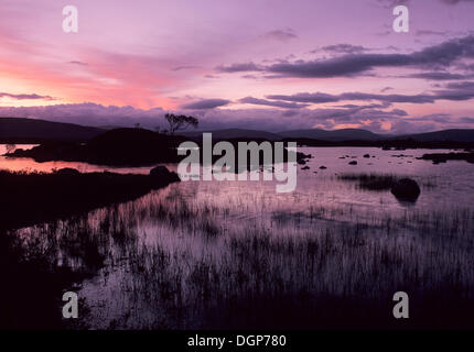 Loch Na H'Achlaise e Monte Nero, Rannoch Moor, Highlands, Scotland, Regno Unito, Europa Foto Stock