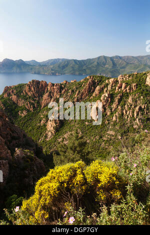 Le Calanques, paesaggio roccioso, il Golfo di Porto, Corsica, Francia, Europa Foto Stock