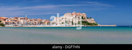 Calvi Balagne Corsica Ovest, Corsica, Francia, Europa Foto Stock