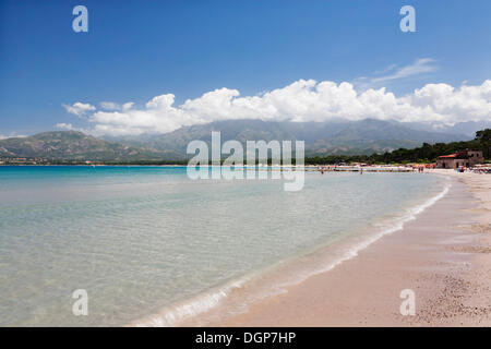 Spiaggia di Calvi Balagne Corsica Ovest, Corsica, Francia, Europa Foto Stock