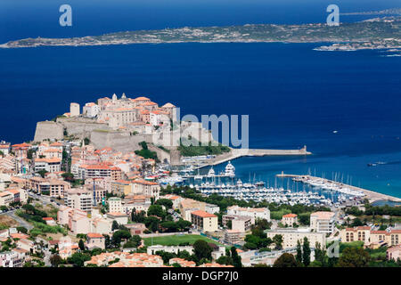 Calvi Balagne Corsica Ovest, Corsica, Francia, Europa Foto Stock