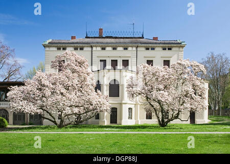 Villa Merkel durante la magnolia blossom, Esslingen, Baden-Wuerttemberg Foto Stock