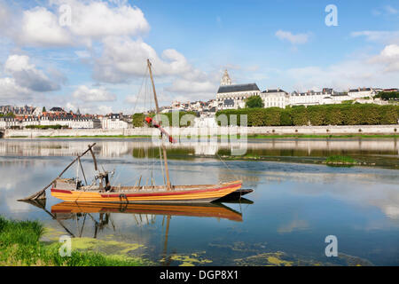 Vista città con cattedrale, Blois, dipartimento Loir-et-Cher, Regione centrale, Francia, Europa Foto Stock