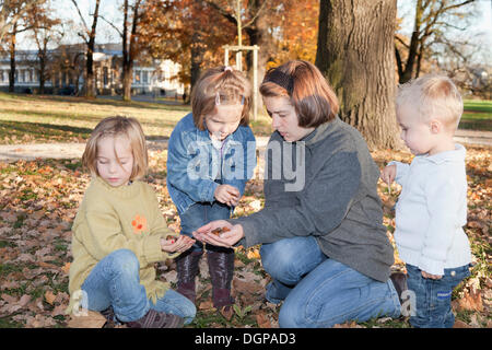 Tre bambini e la loro madre la raccolta di ghiande nel parco Foto Stock