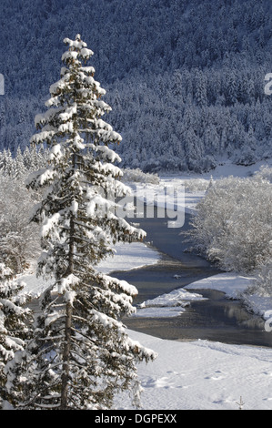 Paesaggio invernale in Baviera, Germania Foto Stock