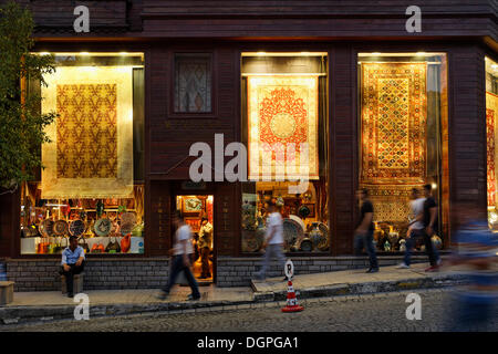 Mevlana Rug Store, la vendita di tappeti e artigianato, la città vecchia di Sultanahmet, Istanbul, Turchia, Europa Foto Stock