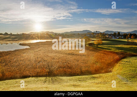 Lago Sengsee al mattino presto in autunno, Osterseen laghi, Iffeldorf, Alpine foreland, Fuenfseenland regione Baviera superiore Foto Stock