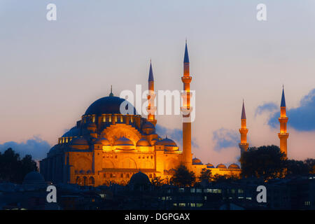 La Moschea Suleymaniye e Moschea di Solimano, Istanbul, parte europea, Turchia, Europa PublicGround Foto Stock