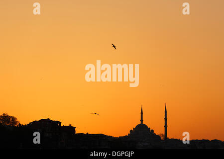 La Moschea Fatih al tramonto, distretto di Fatih, Istanbul, Turchia, Europa Foto Stock