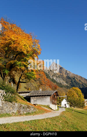 Gerstruben con Hoefats montagna in autunno, Allgaeu Alpi, Oberstdorf, Oberallgäu, Algovia, Svevia, Baviera, Germania Foto Stock