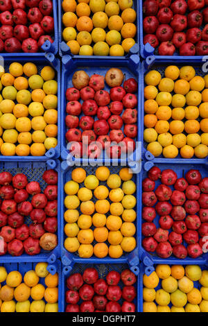 Arance e melograni in casse Eminönü, Istanbul, parte europea, Provincia di Istanbul, Turchia, lato europeo Foto Stock