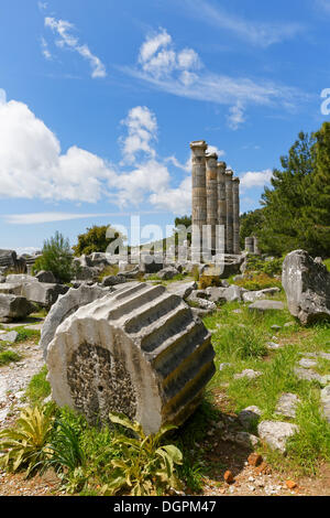 Rovine del tempio di Athena, Priene, Güllübahçe, Aydin provincia, regione del Mar Egeo, Turchia Foto Stock