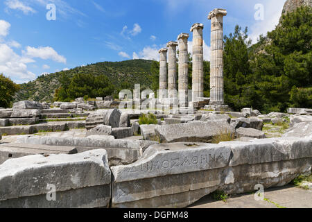 Rovine del tempio di Athena, Priene, Güllübahçe, Aydin provincia, regione del Mar Egeo, Turchia Foto Stock