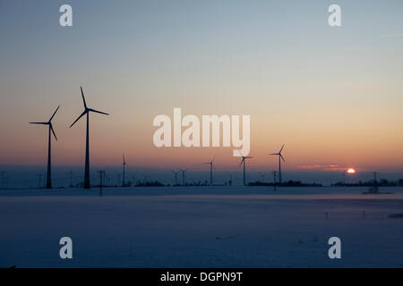 Tramonto in inverno con le turbine eoliche in Nauen parco eolico, Havelland, Brandenburg Foto Stock