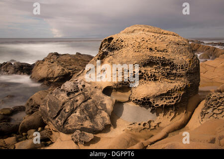 Tafoni formazioni rocciose, sale Point State Park, Jenner, California, Stati Uniti Foto Stock