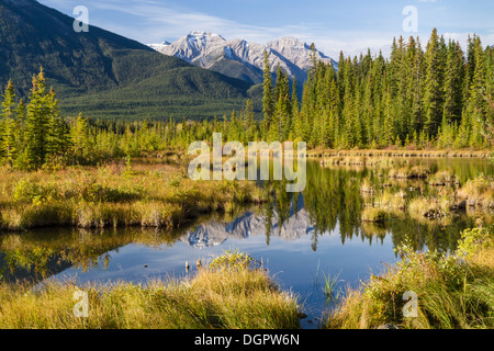 Montare Howard Douglas riflessa nella ancora, acque paludose dei Laghi Vermillion vicino a Banff, AB nel Parco Nazionale di Banff, Canada Foto Stock