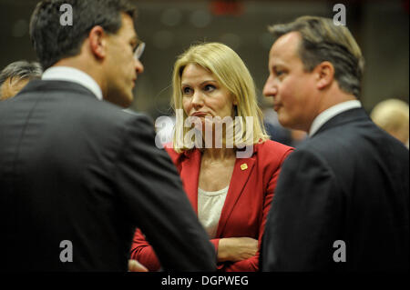 Bruxelles, BXL, Belgio. 24 ott 2013. Primo Ministro britannico David Cameron (R ) e il Primo Ministro danese Helle Thorning Schmidt (C ) all'inizio del Vertice europeo di Bruxelles in Belgio su 24.10.2013 da Wiktor Dabkowski Credito: Wiktor Dabkowski/ZUMAPRESS.com/Alamy Live News Foto Stock