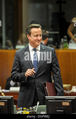 Bruxelles, BXL, Belgio. 24 ott 2013. Primo Ministro britannico David Cameron all'inizio del Vertice europeo di Bruxelles in Belgio su 24.10.2013 da Wiktor Dabkowski Credito: Wiktor Dabkowski/ZUMAPRESS.com/Alamy Live News Foto Stock