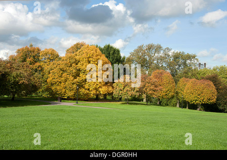 Modifica dei colori durante la stagione autunnale su Primrose Hill, Londra. Foto Stock