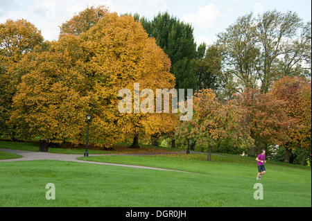 Modifica dei colori durante la stagione autunnale su Primrose Hill, Londra. Foto Stock