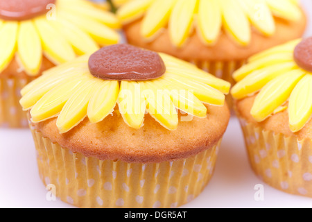 La vaniglia tortine decorate con fiori di colore giallo Foto Stock