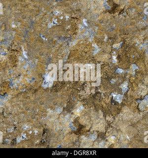 La pietra. Seamless Texture. Foto Stock