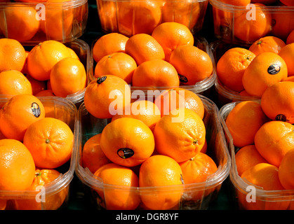 Mandarino,ortolano rue Mouffetard,Parigi,Francia Foto Stock