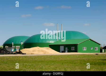 Agricolo di impianto di produzione di biogas, impianto energetico a biomassa con unità di cogenerazione e di cogenerazione di calore ed energia, per la produzione di elettricità e calore Foto Stock