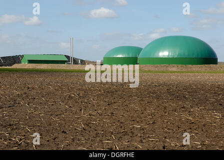 Impianto di produzione di biogas, impianto energetico a biomassa con la produzione combinata di calore e di elettricità, unità di cogenerazione per la produzione di elettricità e calore Foto Stock