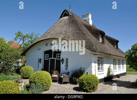 Cottage con tetto in paglia in sieseby sul fiume schlei, thumby, rendsburg-distretto di Eckernfoerde, SCHLESWIG-HOLSTEIN Foto Stock