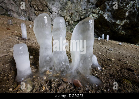 Il ghiaccio stalagmiti, Superiore Valle del Danubio, Sigmaringen distretto, Baden-Wuerttemberg Foto Stock