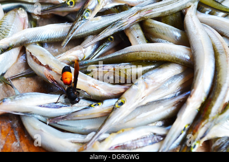 I pesci sono stati dissezionati per cucinare. Foto Stock